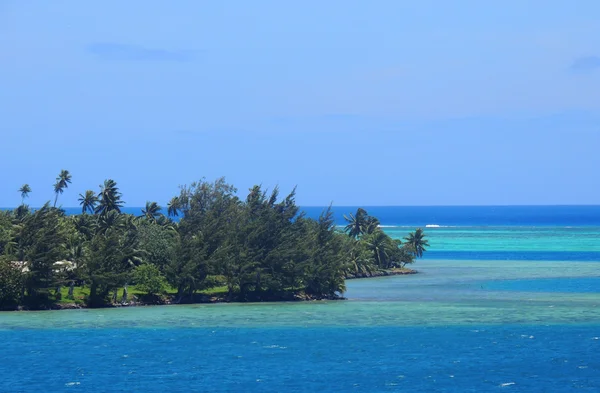 Moorea, Francia Polinézia — Stock Fotó