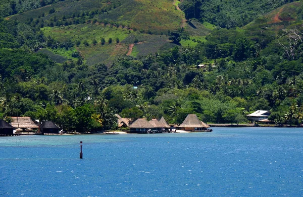 Moorea, Fransız Polinezyası — Stok fotoğraf