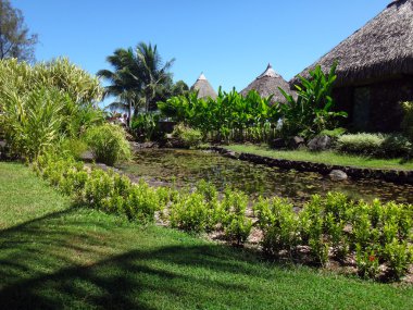 Jardins de Pa'ofa süs balık gölet ' ı (Paofai Bahçe) Papeete, Fransız Polinezyası.