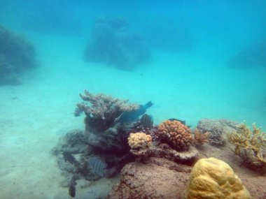 Tahiti, Fransız Polinezyası