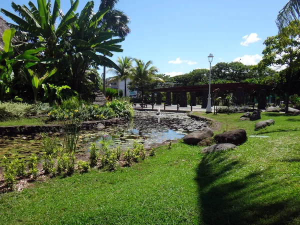 Lago Peixes Ornamentais Jardins Ofa Jardim Paofai Papeete Polinésia Francesa — Fotografia de Stock