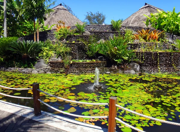 Lago Peixes Ornamentais Jardins Ofa Jardim Paofai Papeete Polinésia Francesa — Fotografia de Stock