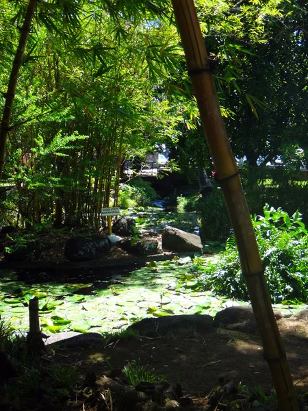Парк Бугенвиль Центре Папеэте Французская Полинезия — стоковое фото