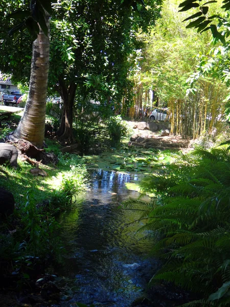 Parc Bougainville Centro Papeete Polinésia Francesa — Fotografia de Stock