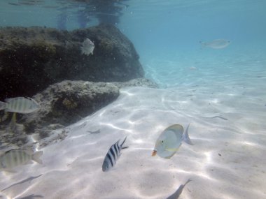 Bora Bora, Fransız Polinezyası