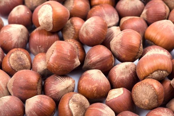 Hazelnuts close up — Stock Photo, Image
