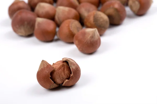 Lískové ořechy zblízka — Stock fotografie