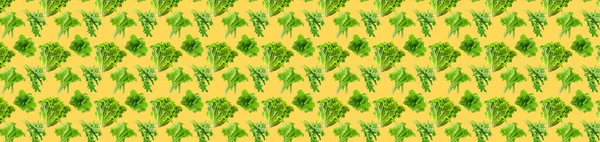 Mönster av färska grönsaker isolerade på kreativ färgad konsistens — Stockfoto