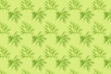 Kusursuz sebze desenli fotoğraf çizimi. Açık yeşil arka planda Dill yaprakları. Kolaj sanatı. Vejetaryen ve sağlıklı beslenme konsepti. Üst manzara, düz uzanma.