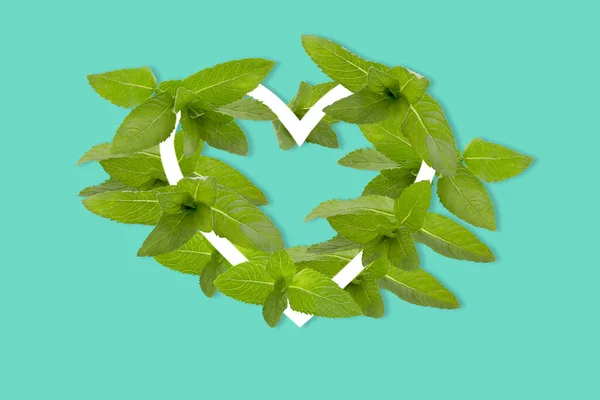 Daun hijau mint berbentuk seperti bingkai jantung, terisolasi di atas putih — Stok Foto
