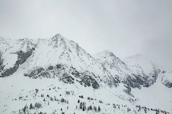 Winterlandschaft Mit Viel Weißem Schnee Konzept Des Urlaubs Den Winterferien — Stockfoto