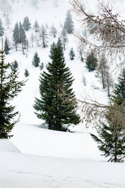 Bir sürü beyaz karlı kış manzarası. Yüksek dağlarda kış tatili sırasında tatil kavramı. Seçici odak.