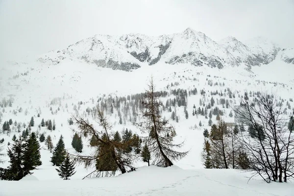 Winterlandschaft Mit Viel Weißem Schnee Konzept Des Urlaubs Den Winterferien — Stockfoto
