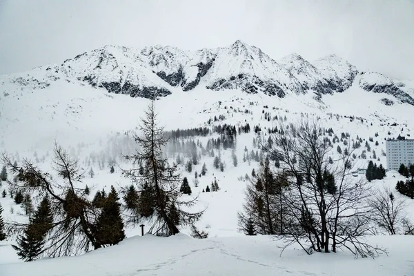 冬天的风景 白雪纷飞 高山地区寒假度假的概念 软焦点 — 图库照片