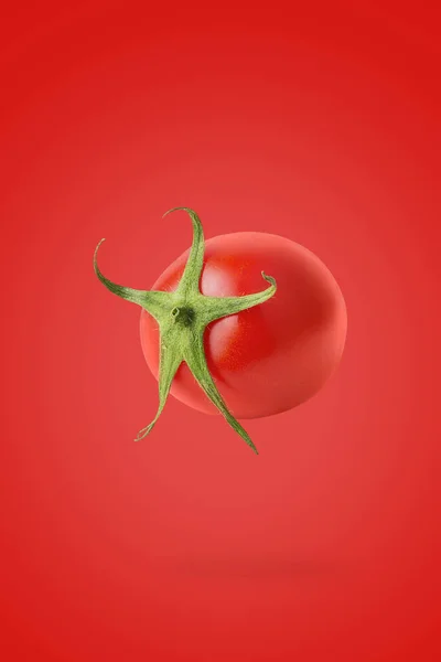 Minimalismo creativo con verduras frescas sobre fondo coloreado —  Fotos de Stock