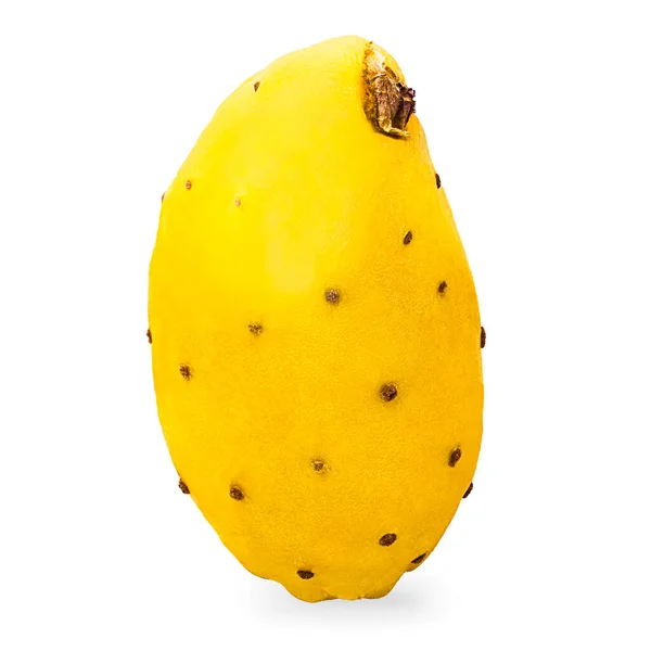 Frutos isolados de opuntia. Uma pêras espinhosas amarelas inteiras cacto fruta no fundo branco com caminho de recorte — Fotografia de Stock