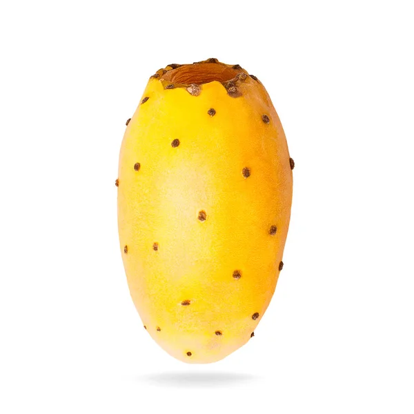 Ізольовані плоди опунції мухи. Цілі жовті колючі груші кактуси на білому тлі з відсічним контуром — стокове фото