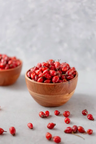 Dog rose fruits on a grey trendy background — Stock Photo, Image