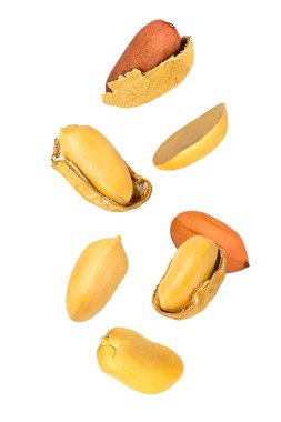 Düşen fıstık seti beyaz arkaplanda izole edilmiş.