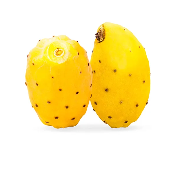 Дві цілі жовті колючі груші кактуси на білому тлі з відсічним контуром — стокове фото