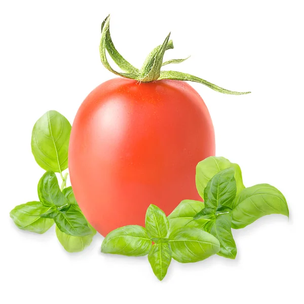 Un pomodoro intero e foglie di basilico isolato sul bianco con ombra — Foto Stock