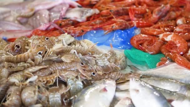 Verschiedene frisch gefangene Schalentiere bereit für die Fischmarktstände — Stockvideo