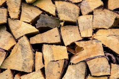 Doku veya arkaplan için sevimli ahşap kütükler