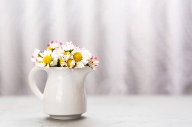 Nihai gri arkaplanda seramik beyaz vazoda güzel papatya çiçekleri