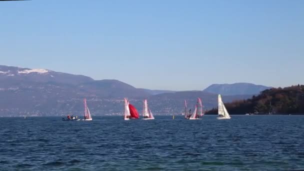 Vitorlás hajók a Garda-tónál felkészülés a versenyre — Stock videók