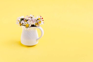 Seramik beyaz vazodaki güzel papatya çiçekleri yukarıdan aydınlatıcı arka plan üzerine