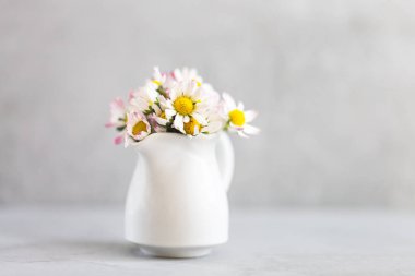 Nihai gri arkaplanda seramik beyaz vazoda güzel papatya çiçekleri