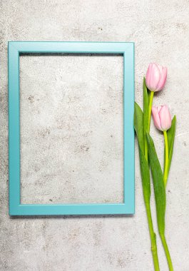 Nihai gri duvarda taze pembe lale çiçekleri