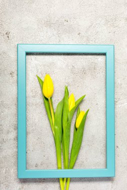 Nihai gri duvarda taze sarı lale çiçekleri