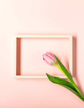 Düz yatıyordu pastel pembe üzerinde lale çiçekleri