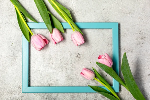 Nihai gri duvarda taze pembe lale çiçekleri