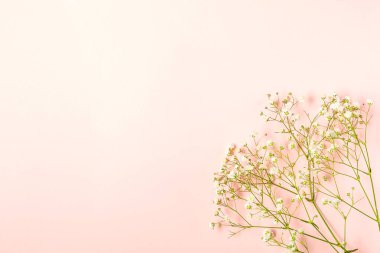 Taze beyaz bebek nefesli yaratıcı bayrak