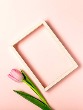 Düz yatıyordu pastel pembe üzerinde lale çiçekleri