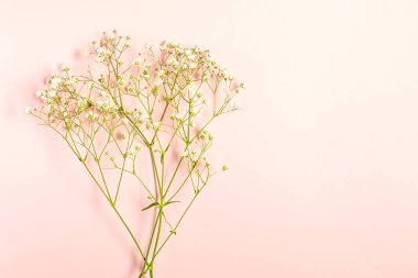 Taze beyaz bebek nefesli yaratıcı bayrak