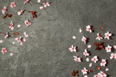 bahar arkaplanı ve siyah arka planda taze çiçek.