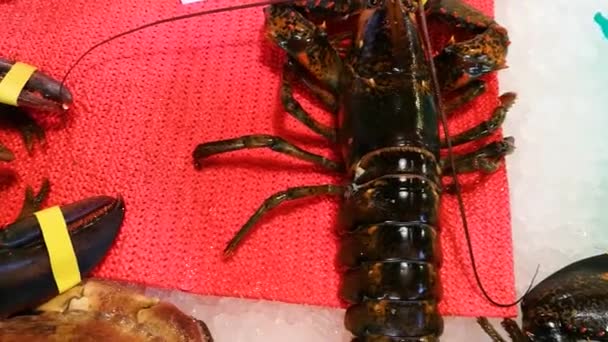 Live Crayfish On A Table Close-Up — Stock Video