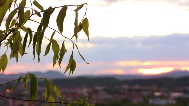 Ein Teil des Schlosses der Stadt Brescia an einem sonnigen Tag — Stockvideo