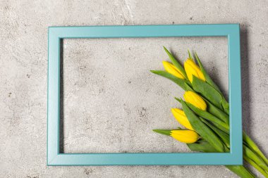 Nihai gri duvarda taze sarı lale çiçekleri