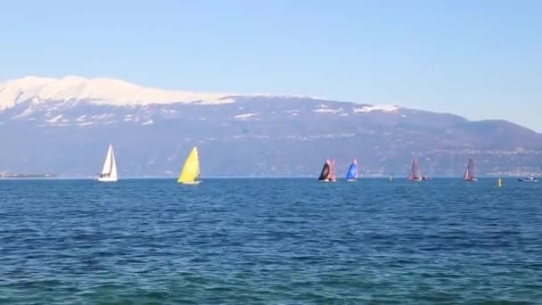 加尔达湖上的帆船准备比赛 — 图库视频影像
