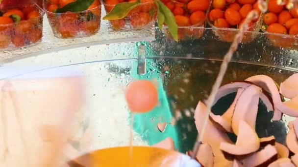 Bezárása stand friss gyümölcsökkel egy szabadtéri piacon — Stock videók