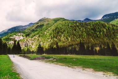 Yazın yeşil dağ zirveleri olan doğal manzara