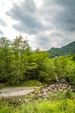 Yazın yeşil dağ zirveleri olan doğal manzara