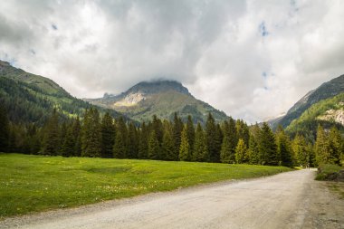 Yazın yeşil dağ zirveleri olan doğal manzara