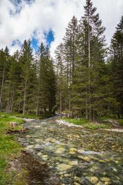 Yazın yeşil dağ zirveleri olan doğal manzara