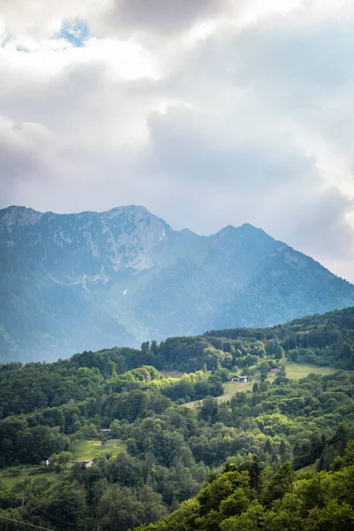 여름에 푸른 산봉우리가 있는 자연 경관 — 스톡 사진