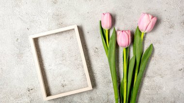 Nihai gri duvarda taze pembe lale çiçekleri